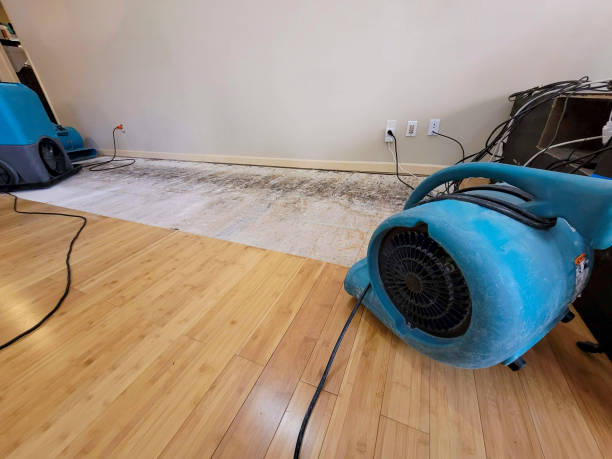 Professional Ceiling Water Damage Repair technician working in El Campo, TX