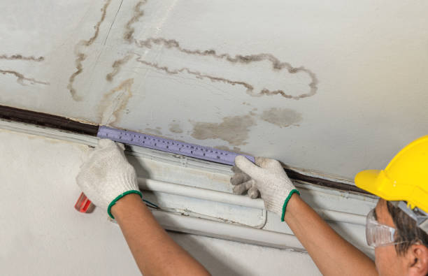 Affordable Ceiling Water Damage Repair solutions in El Campo, TX